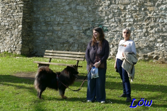 19.4.2025 - Schlo&szlig;park